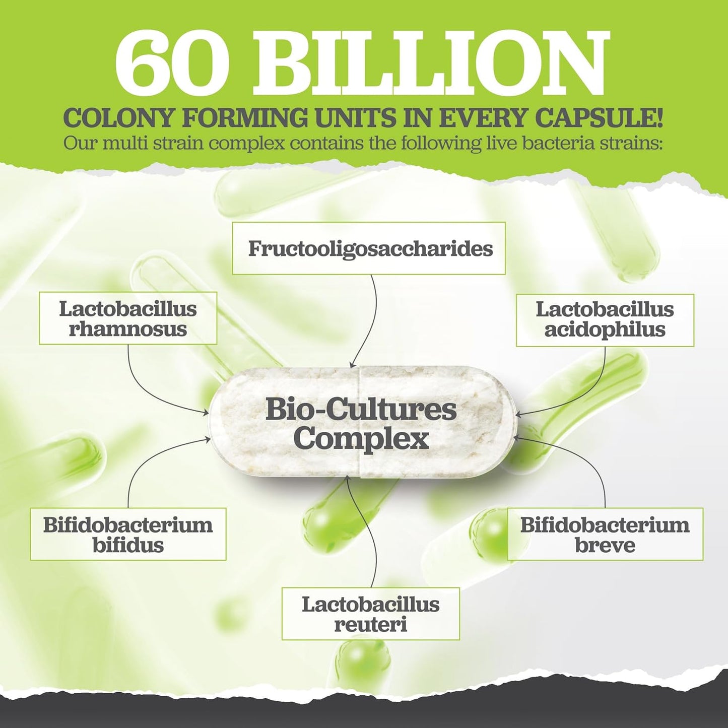 Bio Cultures Probiotics 60 Billion CFU - 60 Capsules - 2 Month Supply - 5 Active Vegetarian Strains with Lactobacillus Acidophilus & Bifidobacterium - Gut Supplements for Women & Men -