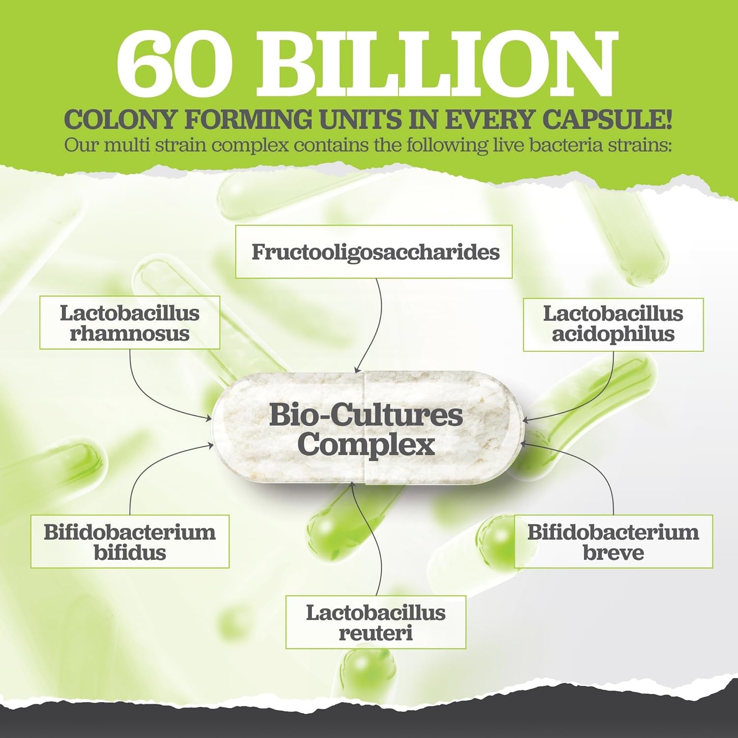 Bio Cultures Probiotics 60 Billion CFU - 60 Capsules - 2 Month Supply - 5 Active Vegetarian Strains with Lactobacillus Acidophilus & Bifidobacterium - Gut Supplements for Women & Men -