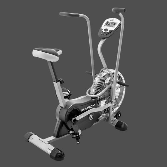 AIR-1 Deluxe Dual Action Fan Bike